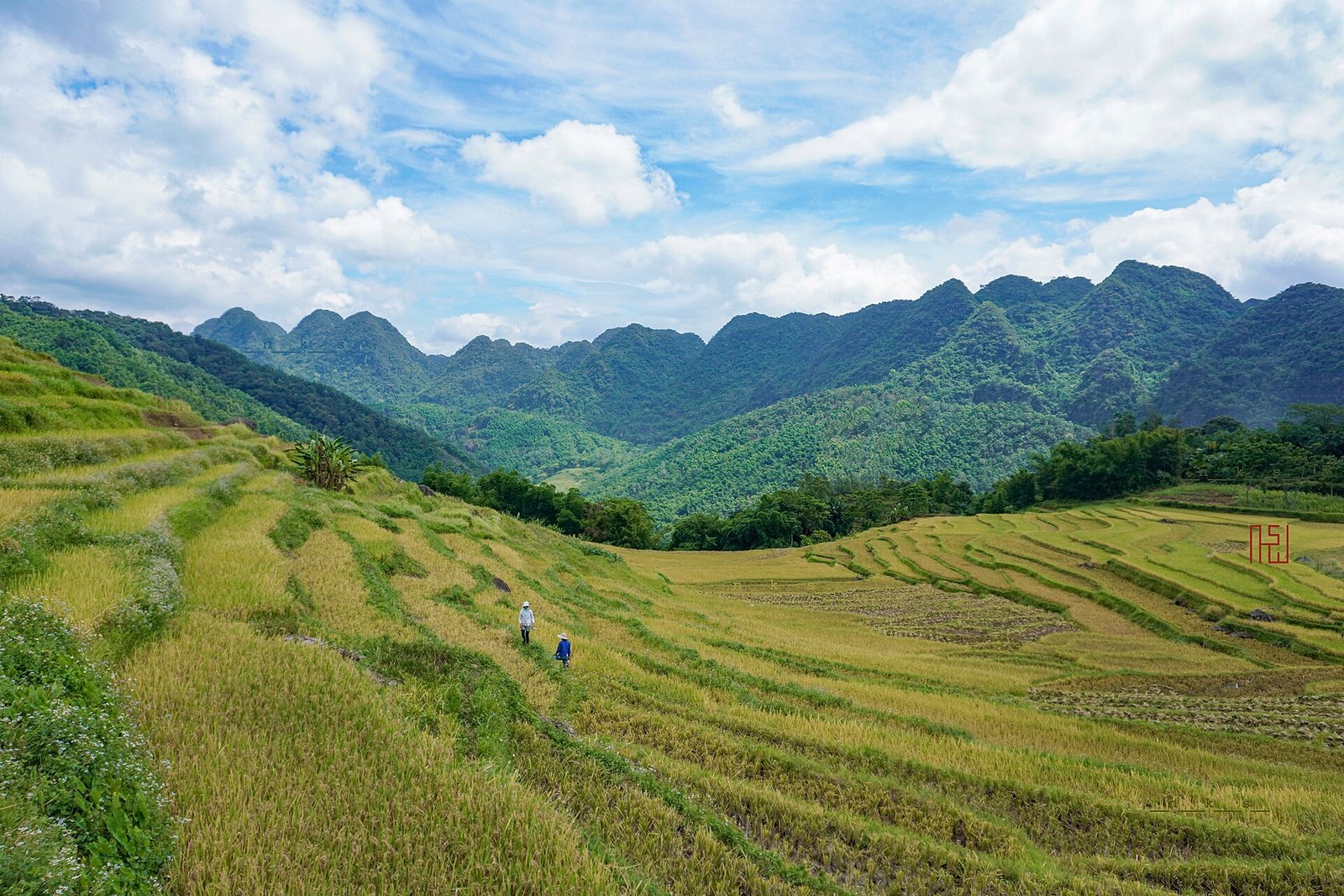 Ninh Binh Pu Luong Tour 4 Days 3 Nights