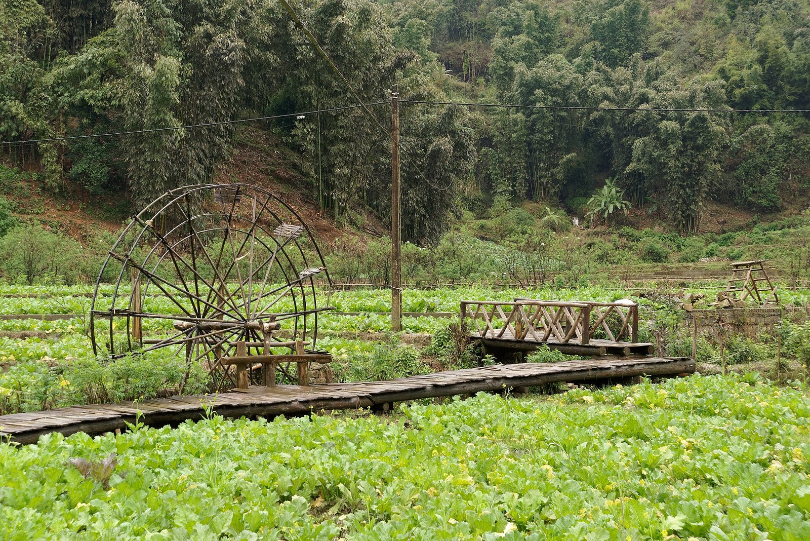 Epic Loop Tour - Pu Luong, Ninh Binh & Halong Bay 4 Days