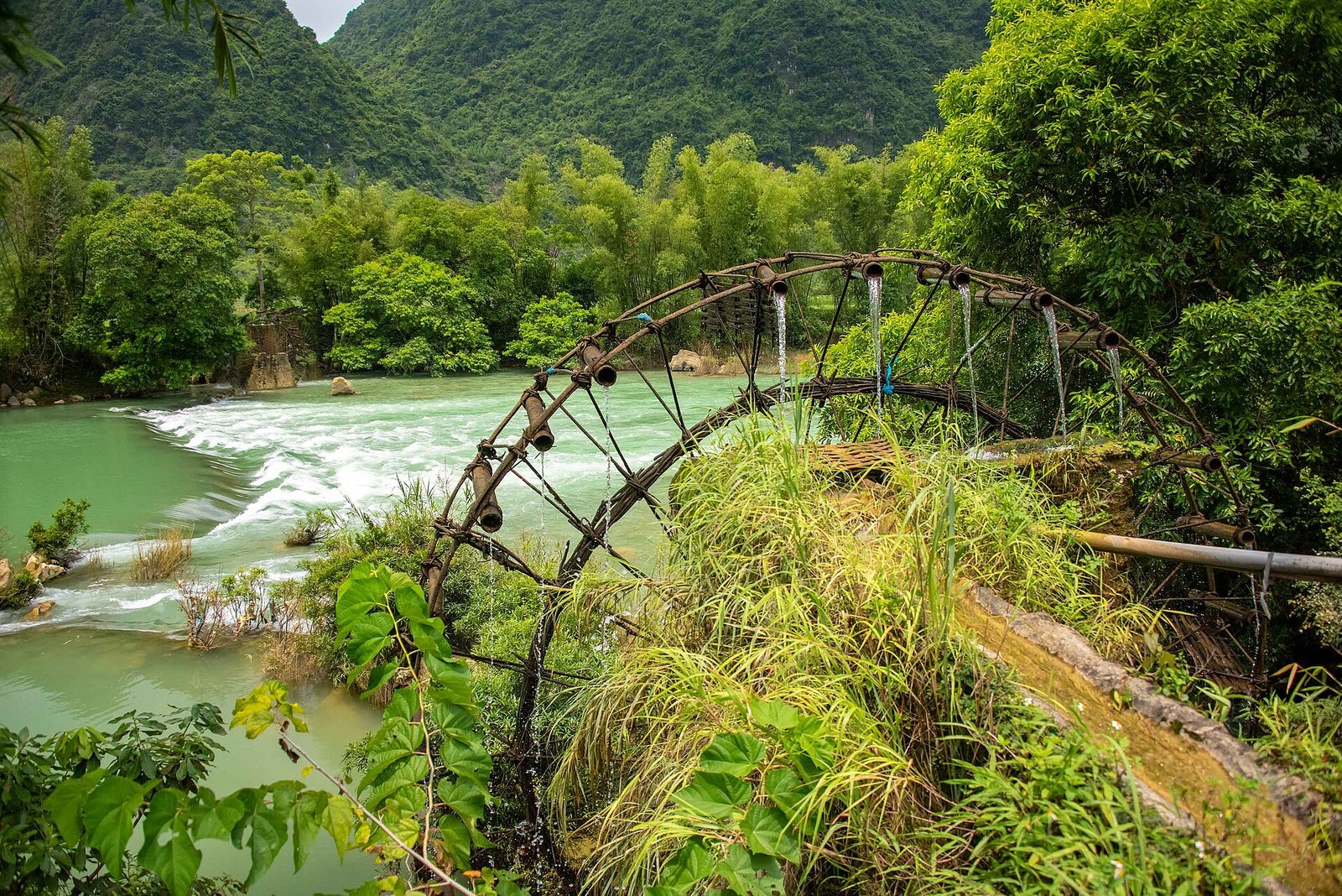 Highlights of Vietnam Village Life - Ninh Binh, Cuc Phuong & Pu Luong 5 Days