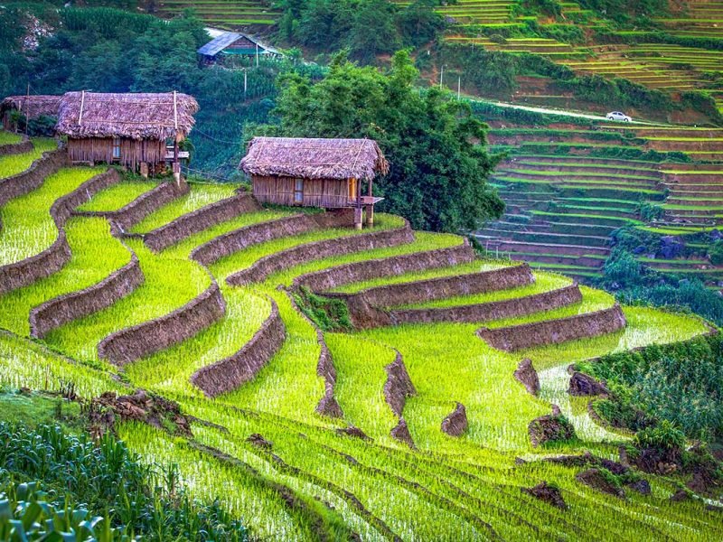 3 Weeks Vietnam: Best of North to South