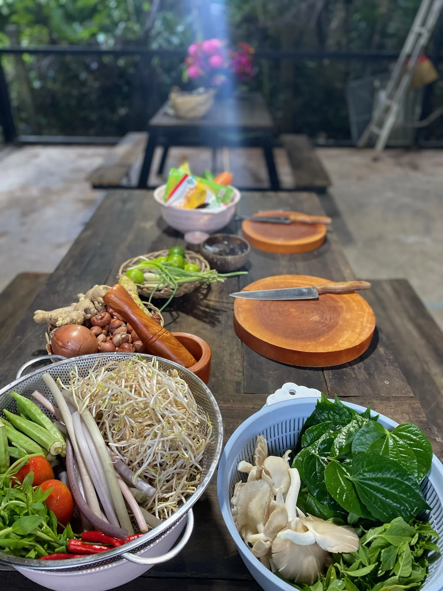 Cycling Tour & Vietnamese Vegetarian Cooking Experience
