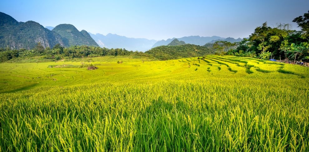 Da Bac, Mai Chau, Pu Luong - 04 Days