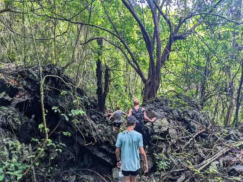 Full Day Hiking Cat Ba National Park