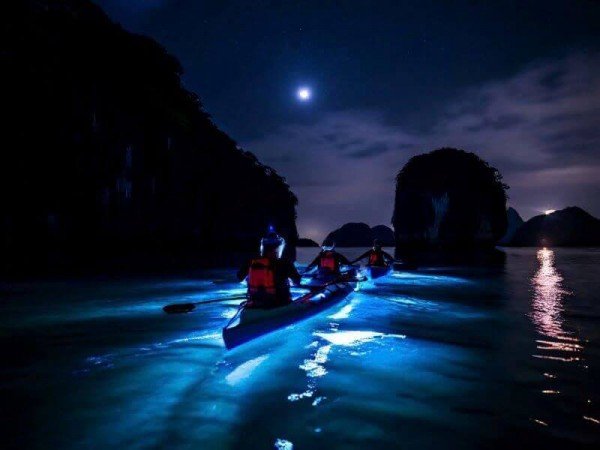 Cat Ba Day Cruise