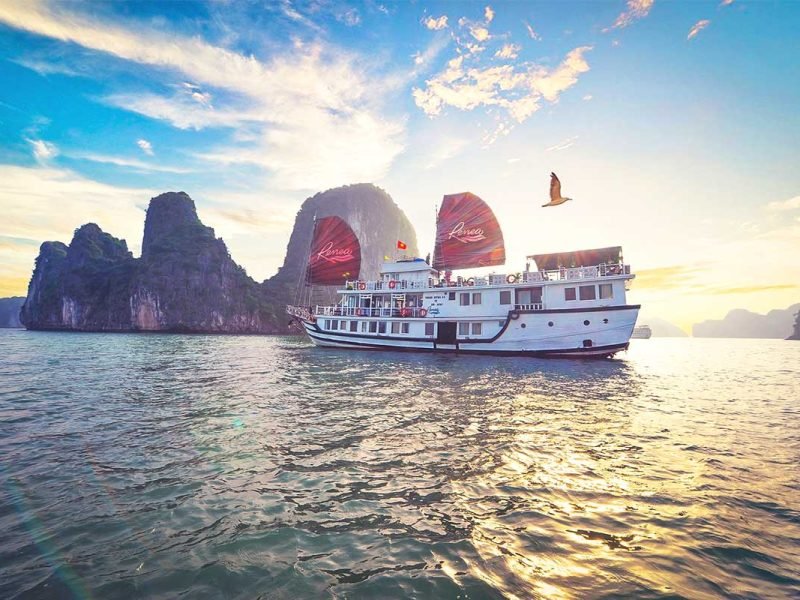 Renea Cruise: 3-Day Bai Tu Long Bay Journey