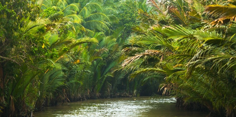 Saigon & Mui Ne Beach | Authentic package tour - 07 Days