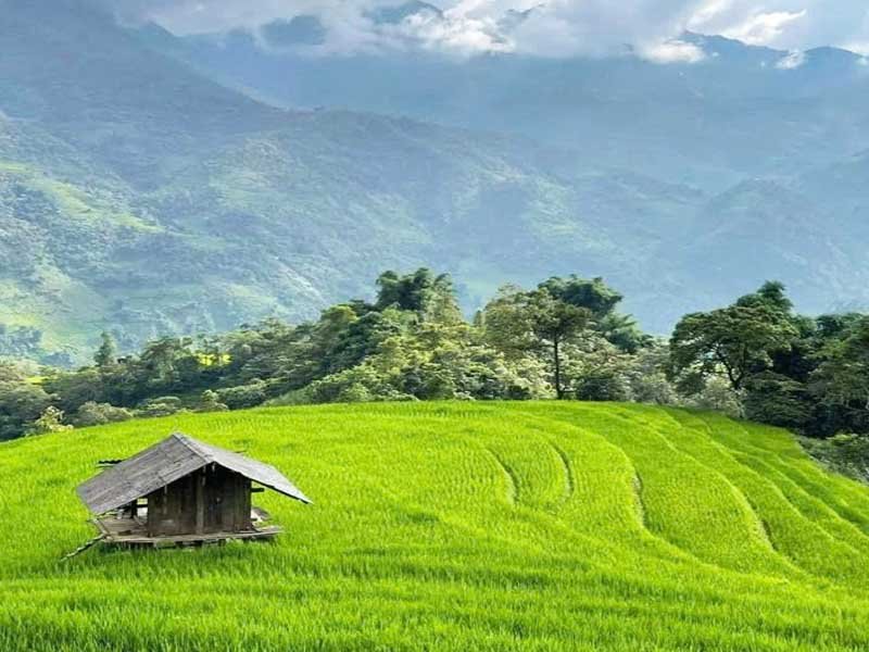 Sapa Tour 2 Days 1 Night - Homestay