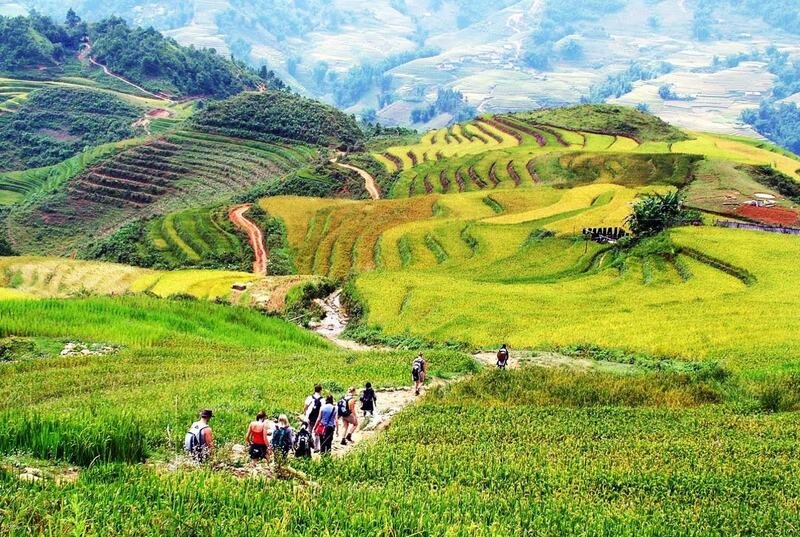 SAPA TREKKING 1 DAY