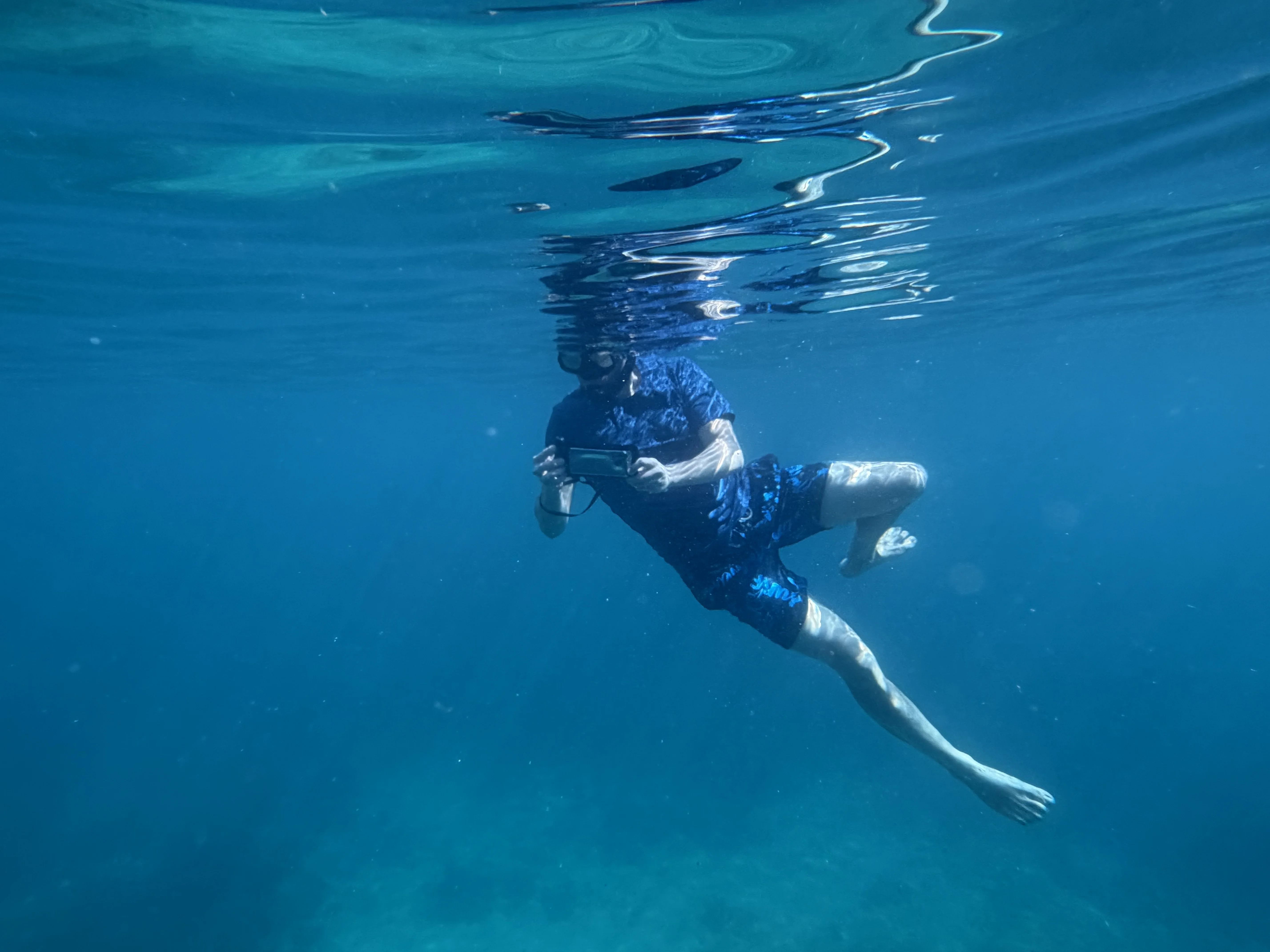 Snorkeling & Exploring Turtle island