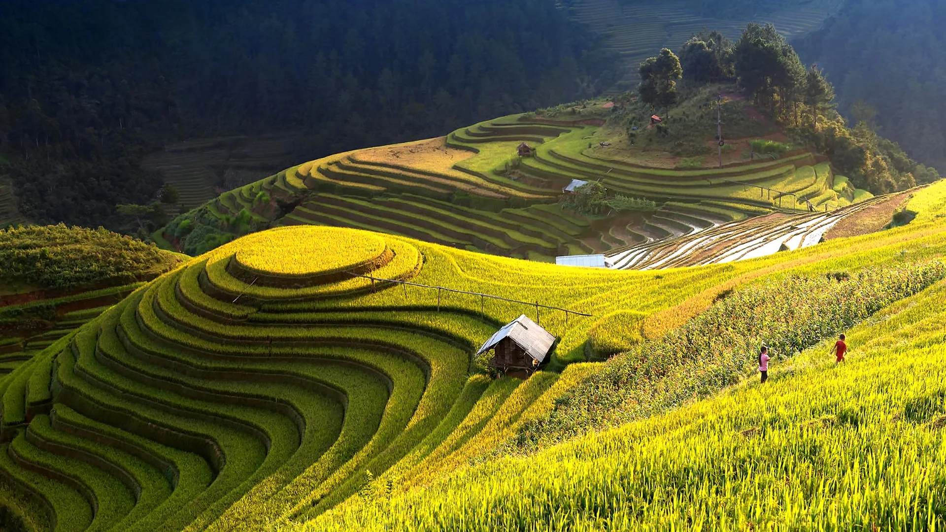 Dramatic limestone karst landscape and winding roads of the Ha Giang Loop, Vietnam