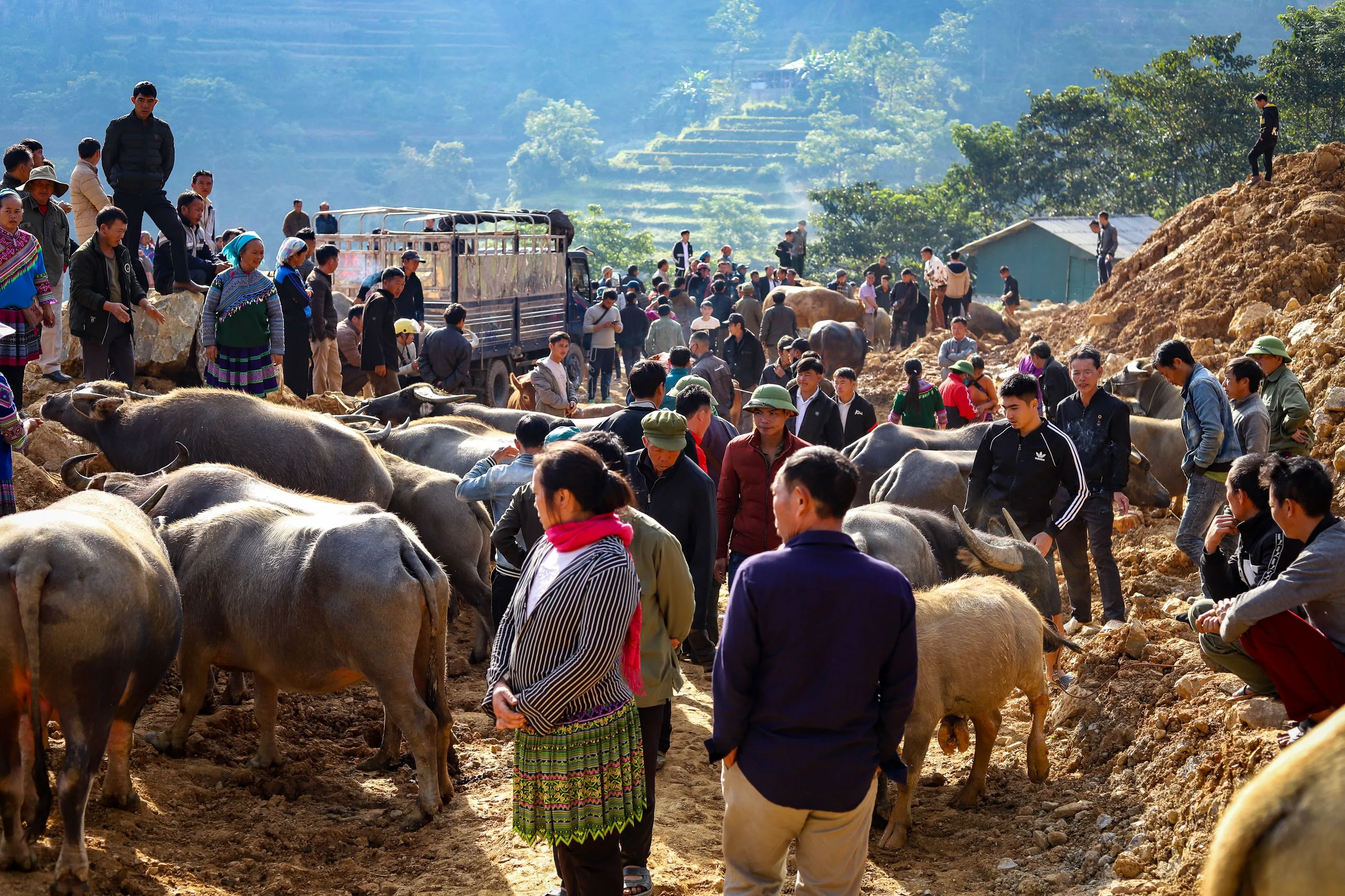 Bac Ha Tours