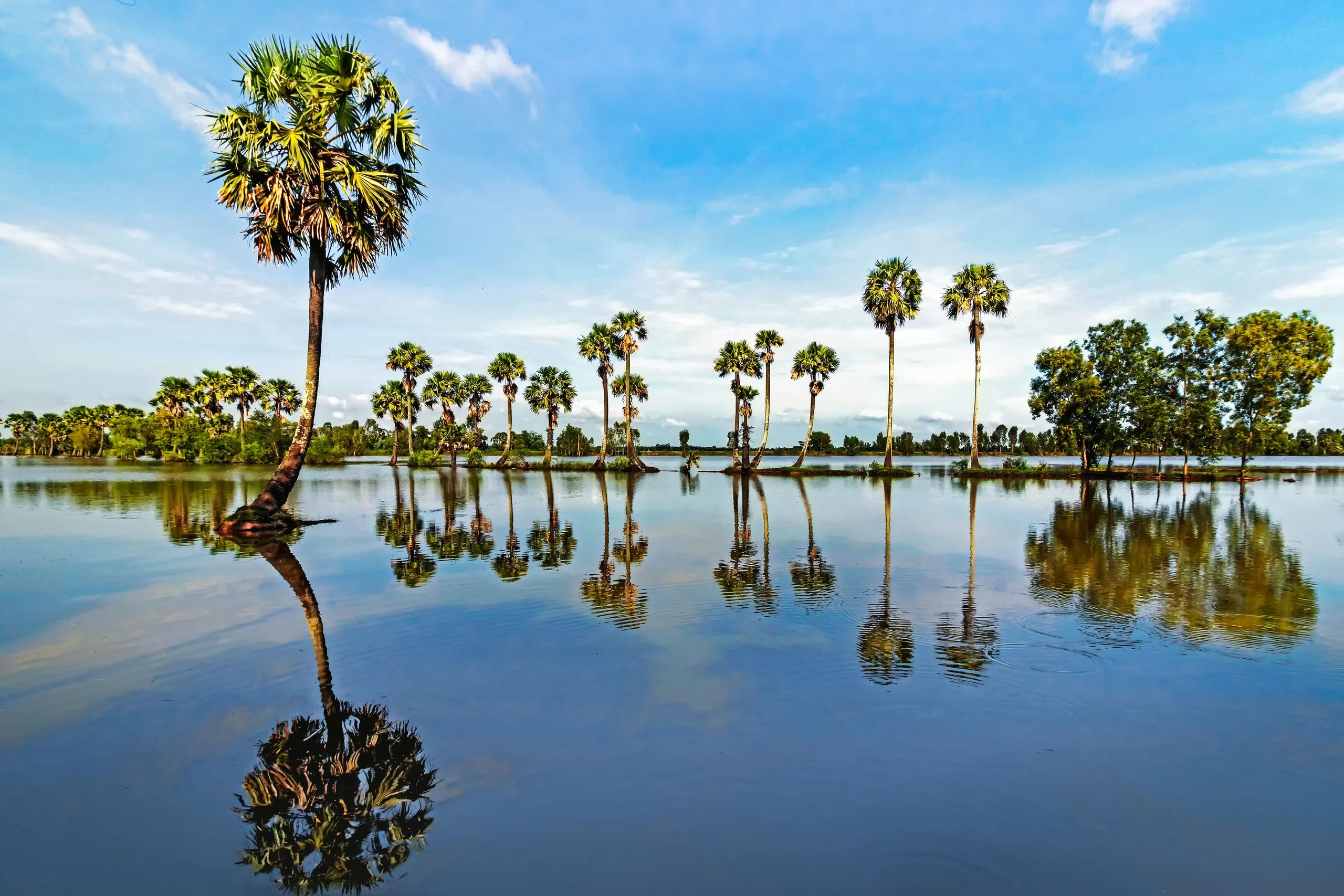 An Giang Tours