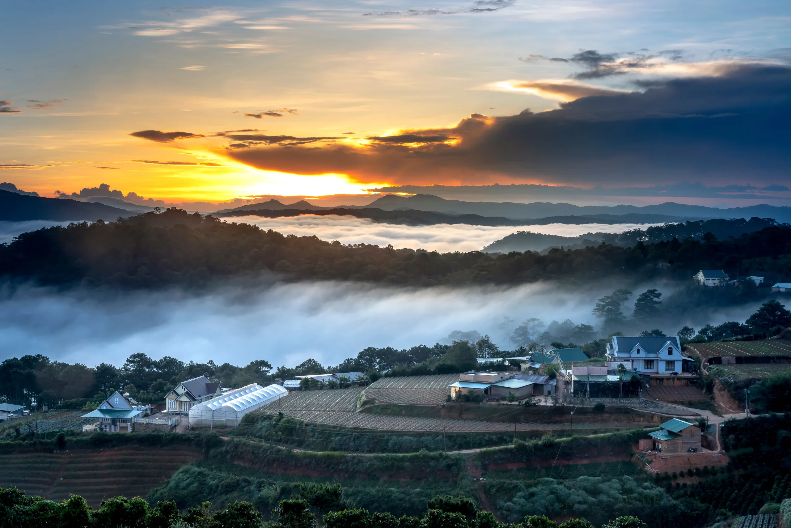 Lush terraced rice fields cascading through the highlands of Central Vietnam
