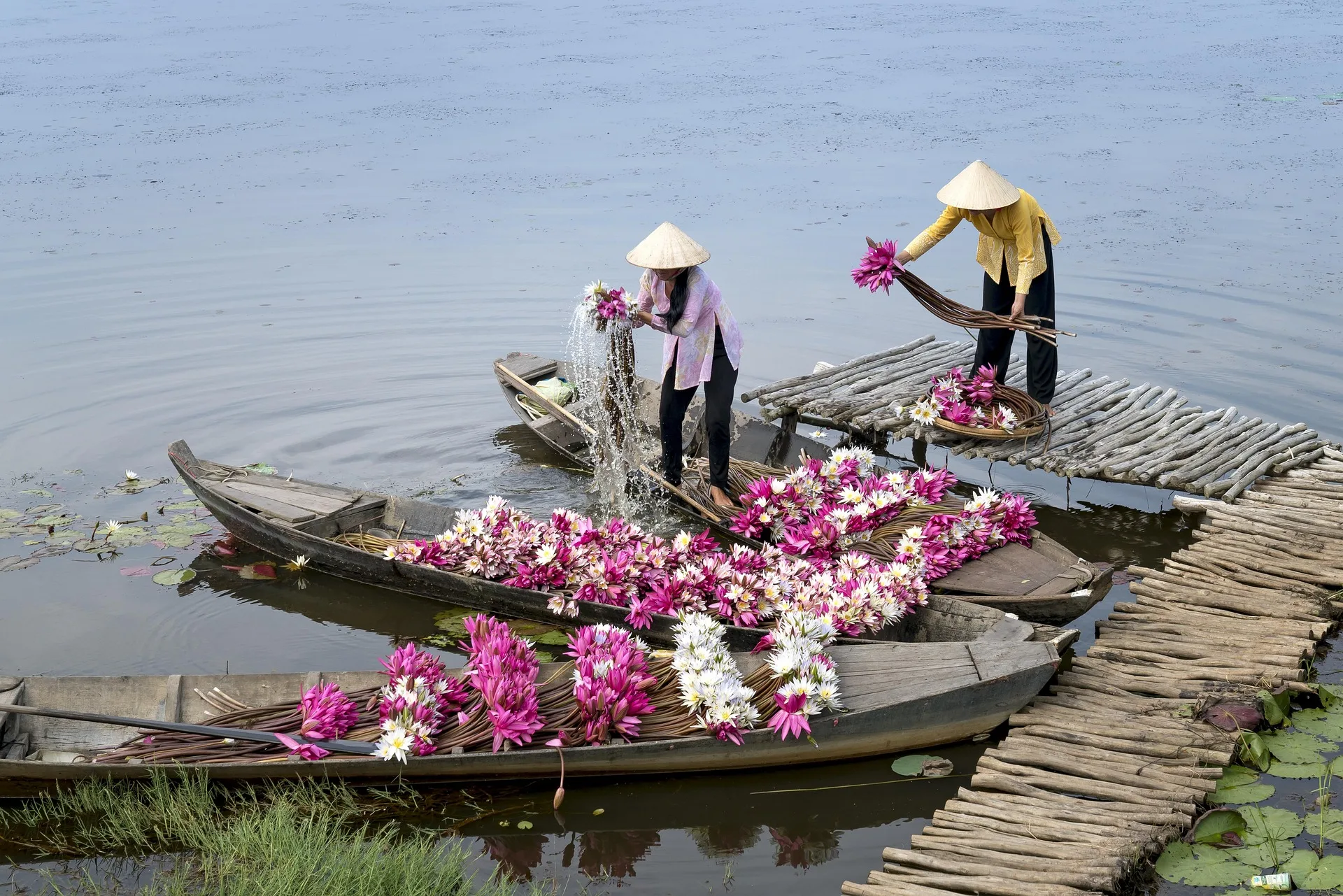 Mekong Delta Tours