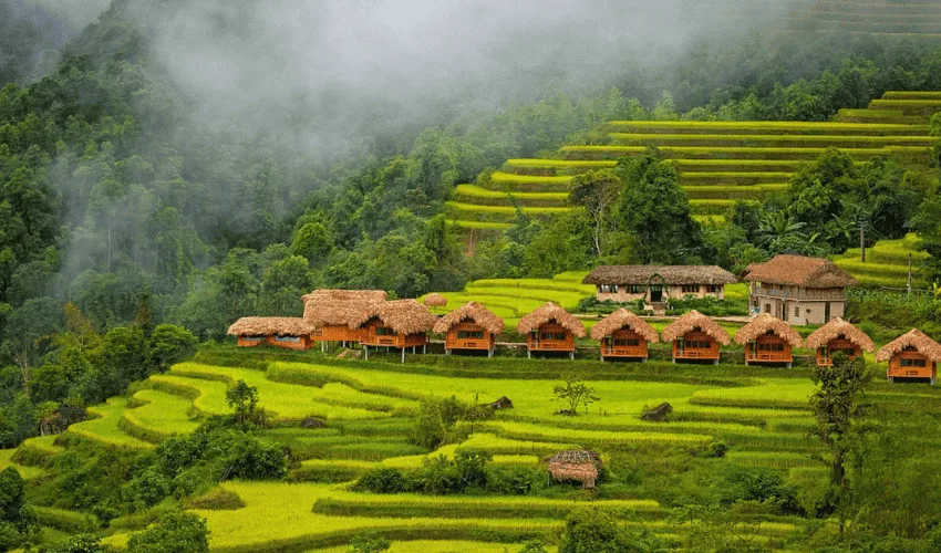 The North is famous for its terraced rice fields and rustic thatched-roof houses