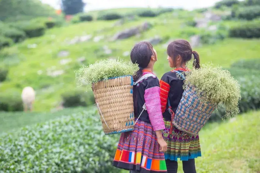 Ethnic community life and traditional clothing in the Moc Chau highlands