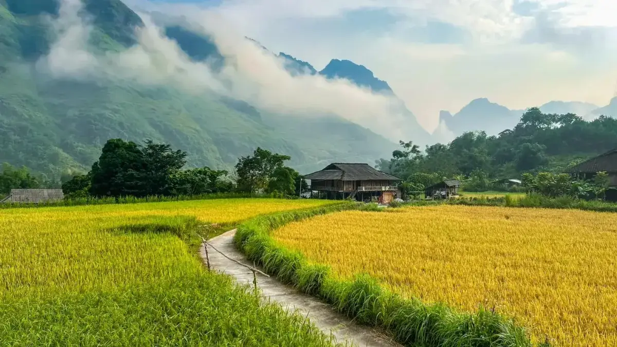 Rice fields and mountain village landscape in Du Gia Ha Giang