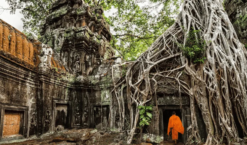The mysterious ancient temples of Sambor Prei Kuk nestle beneath the canopy of towering trees