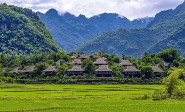 Mai Chau