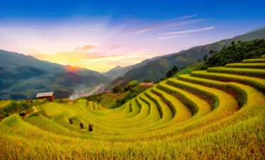 mu-cang-chai