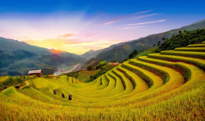 Hanoi Car Rental | Hanoi to Mu Cang Chai 3D2N