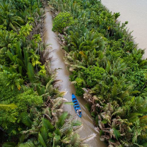 Ben Tre coconut