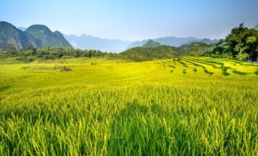 Da Bac, Mai Chau, Pu Luong - 04 Days