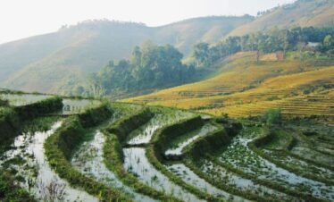 Easy Sapa Tour Package | by Shuttle Bus from Hanoi - 02 Days