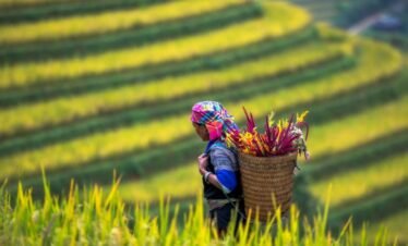 Easy Sapa Ethnic Tour 3 Days | Authentic Mountain Experience by Shuttle Bus from Hanoi