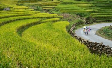 Adventure to Sapa by Train & Shuttle Bus from Hanoi – 03 Days