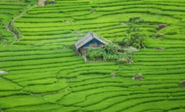 Easy Sapa Tour
