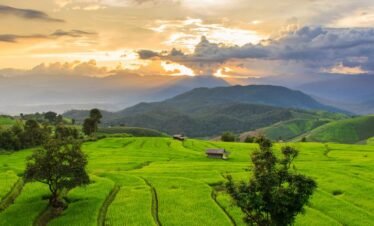 Mai Chau