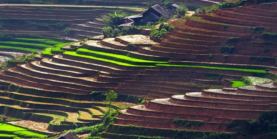 Sapa Bac Ha