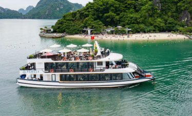 Pamela Cruise 1 Day Tour – Experience the Best of Ha Long Bay in Just One Day