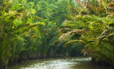 Ben Tre - Tra Vinh - Long Xuyen