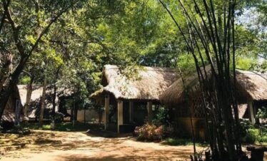 Cu Chi Tunnels – Vietnamese countryside experience by boat and Van – 01 Day