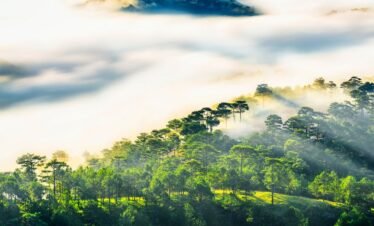 Vietnam Central Highland Discovery (From Da Lat to Hoi An) – 07 Days