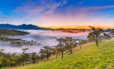Da Lat City Tour – 01 Day