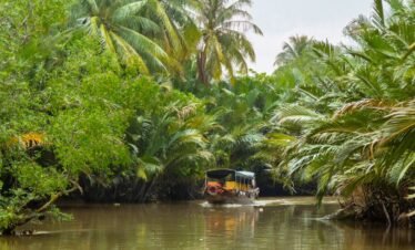 Discover Mekong Delta (Ben Tre - Cai Lay - Sa Dec - Long Xuyen) - 03 Days