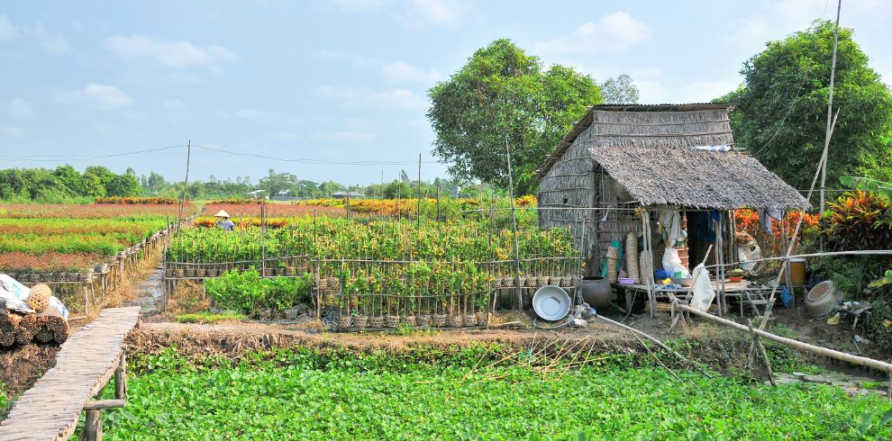 Discover Mekong Delta (Ben Tre - Cai Lay - Sa Dec - Long Xuyen) - 03 Days