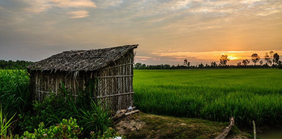 Discover Mekong Delta (Ben Tre - Cai Lay - Sa Dec - Long Xuyen) - 03 Days