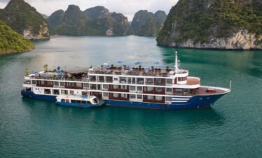 Erina Cruise 3 Days