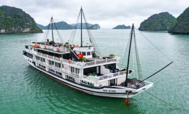 Oasis Bay Party Cruise 2 Days