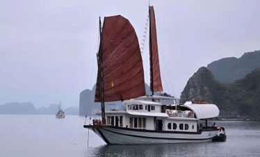Prince Cruise 3 Days