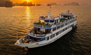 Swan Cruise 3 Days