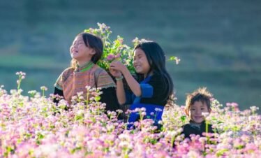 HA GIANG LOOP TOUR 04 DAYS 03 NIGHTS