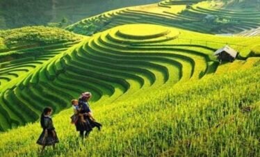 SAPA 2 DAYS 1 NIGHT IN HOTEL